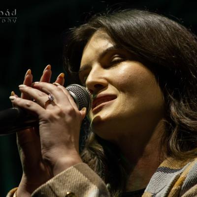 Green Town Jazz Fest 7